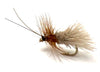 Goddard Caddis