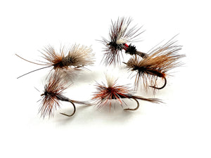 Dry Fly Classic Starter 5 Pack, Size 12
